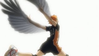 FLY HIGH  Haikyuu  AMV [upl. by Nylaf]