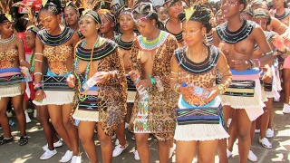 The beautiful tribal women of South Africa Ndebele Xhosa Zulu Basotho Venda Tsonga Tswana [upl. by Atteras764]