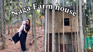 Naga Farm house piggery amp poultry farm A date day with my amico and cousin  cooking beef innards [upl. by Oilalue]