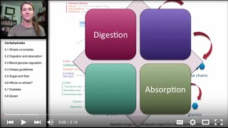 52 Carbohydrates Digestion and Absorption [upl. by Pascal378]