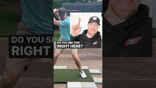 Golf Swing Speed Training Explained TheSpeedToad golf golfswing speedtraining [upl. by Gordon]