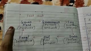 Mode of Nutrition Difference between Autotrophic nutrition amp Heterotrophic nutrition explain [upl. by Derfniw]