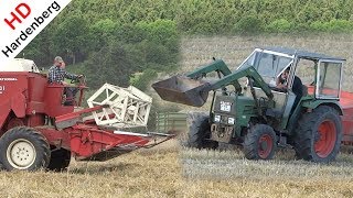 Pressing bales with Fendt  Welger  Harvesting barley with Case International 431  2017 [upl. by Adamsun]