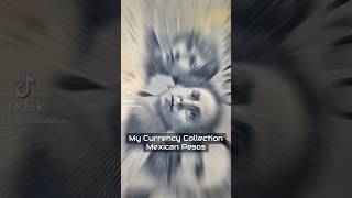 Mexican Pesos  My Currency Collection shakidsfun peso mexico currency forex collection [upl. by Davin]