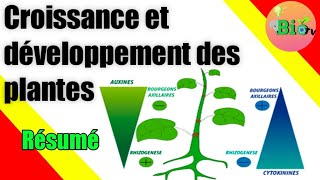 phytohormones petit résumé  croissance et développement des plantes [upl. by Zeiger842]