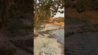 Chickasaw National Recreation Area  Fishing Rock Trail hiking sunset lakeview meditation [upl. by Agrippina974]