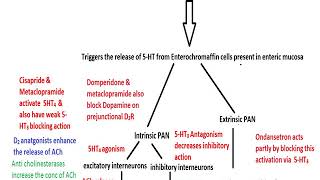 PHARMACOLOGY OF PROKINETIC AGENTS [upl. by Aihseym82]