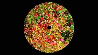 Four Tet  SW9 9SL [upl. by Eevets]