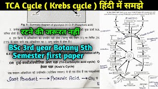 Krebs cycle in Hindi  TCA cycle in Hindi  Citric acid Cycle  BSc 3rd year Botany 5th semester [upl. by Ursi]