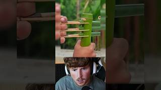 DIY Bamboo Bow and Arrow bamboo slingshots diy [upl. by Feliza]