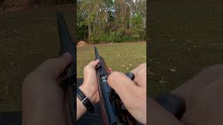 Bolt Action 22 Magnum Rifle [upl. by Eronel]