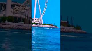 BLUEWATER DUBAI  🇦🇪  shorts shortvideo shortsfeed shortsviral youtubeshorts aindubai [upl. by Chatav908]