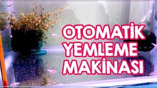 Otomatik Balık Yemleme Makinası Yapımı [upl. by Camala]