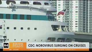 Norovirus outbreaks surging on cruise ships [upl. by Ennoirb962]