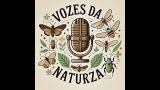 VOZES DA NATUREZA  DESCOBRINDO O MUNDO DOS INSETOS [upl. by Jevon]