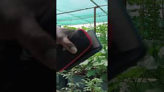 How to start smart terrace Garden  automatic farming system  Naturalist Alexander9884035450 [upl. by Aseneg262]