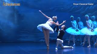 Royal Classical Ballet  Schwanensee 2022 [upl. by Obmar977]