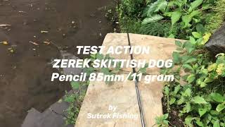 Test Action Zerek Skittish Dog 85 [upl. by Ermentrude]