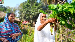 পালং শাক দিয়ে কৈ মাছের দারুন এক রান্না  Healthy Palak Shak recipe  Koi mach diye palang shak [upl. by Wyatt646]