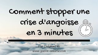 Crise dAngoisse Que Faire  Comment Stopper Une Crise dAngoisse en 3 minutes [upl. by Hercules]