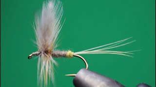 LADY BEAVERKILL CLASSIC CATSKILL DRY FLY  FLY TYING TUTORIAL [upl. by Nahtanaj507]