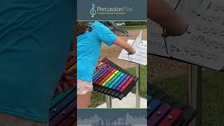 Cavatina Outdoor Xylophone  Percussion Play Outdoor Musical Instruments musicplayground music [upl. by Symer247]