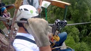 Tsitsikamma Canopy Tour livinglifetothefullest adventure southafrica [upl. by Aleil]