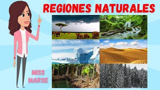 LAS REGIONES NATURALES [upl. by Annot684]