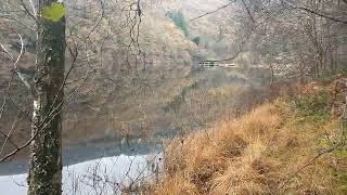 Loch Ard The Trossachs [upl. by Elly]