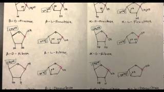 Carbohydrates Part 4 of 4 PDF of Monosaccharides Disaccharides and Polysaccharides [upl. by Awra958]