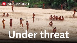 Extraordinary footage emerges of uncontacted tribe in Amazon rainforest [upl. by Verner]