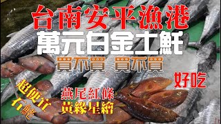 台南安平漁市場｜除夕圍爐看大魚｜超金貴萬元土魠 ｜黑喉 燕尾紅條 石鮱 青口龍占｜大家喜魚 年年有餘過好年海鮮 市場 漁港 台南必吃 台南安平 安平美食 安平漁港 [upl. by Ferren]