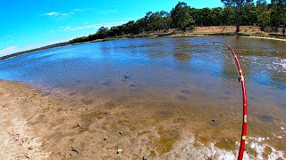 LAND Fishing for MURRAY COD with Crankbaits  Happy Valley Reservoir South Australia [upl. by Lleneg833]