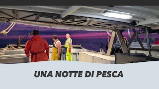 Una Notte di Pesca [upl. by Bergman]