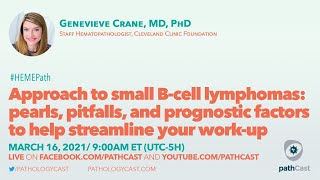 Approach to small Bcell lymphomas  Dr Crane Cleveland Clinic HEMEPATH [upl. by Mettah]