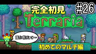 【Terraria】人生初のテラリアに挑戦！視聴者参加型 Part26 [upl. by Nnylekoorb]