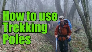 How to use Trekking Poles [upl. by Ilenna]