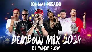 DEMBOW MIX 2024 VOL 12 DJYANDYFLOW ❌GOOATKING [upl. by Brian677]