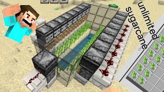 How To Make SUGER CANE FARM In Minecraft  minecraft SUGER CANE FARM Kasa Banaya [upl. by Aicillyhp]