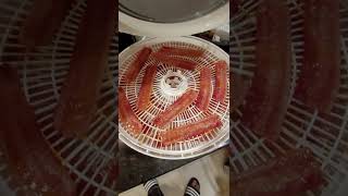 Making Bacon Jerky  Bacon Candy  Nesco Dehydrator [upl. by Nuawd]