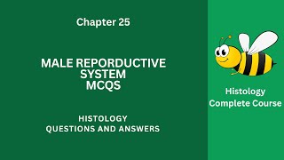 Male Reproductive System MCQ Questions Answers PDF  Reproductive System Class 912 MCQs Ch 25 Notes [upl. by Nalloh398]