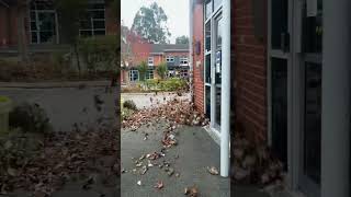 Leaf blowing commercial property and car parks in Liverpool commercial property grounds maintenance [upl. by Akital526]