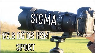 Sigma 70200mm f28 DG OS HSM SPORT  Overview amp Sample Photos [upl. by Wilden988]