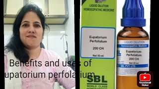 part1 Benefits and uses of Eupatorium perfolatium 20030 [upl. by Arly]