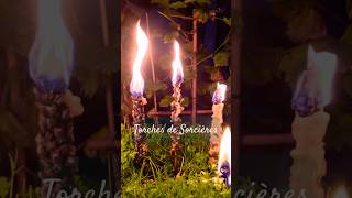 🕯️ Préparons Ensemble des Torches de Sorcières 🕯️ [upl. by Sanfred]