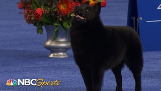 National Dog Show 2022 NonSporting Group Full Judging  NBC Sports [upl. by Koren]