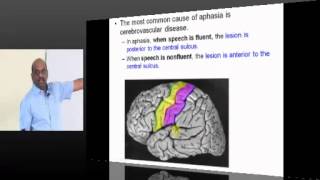 NEETPG Coaching Medicine Neurology Topic 10 Aphasia [upl. by Salot]