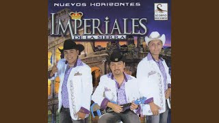 Cumbias Norteñas  Voy a Danzar Estreno  Feliz feliz  Traicionera  Muchacha Triste [upl. by Loftis]