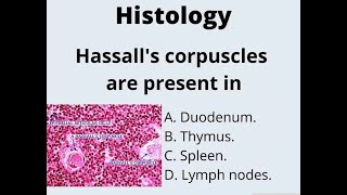 hassalls Corpuscle  Definition Functions Structure Thymus anatomy [upl. by Cathrin118]