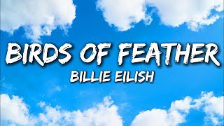 Billie Eilish  Birds Of Feather Lyrics Cant change the weather might not be forever [upl. by Ashien]